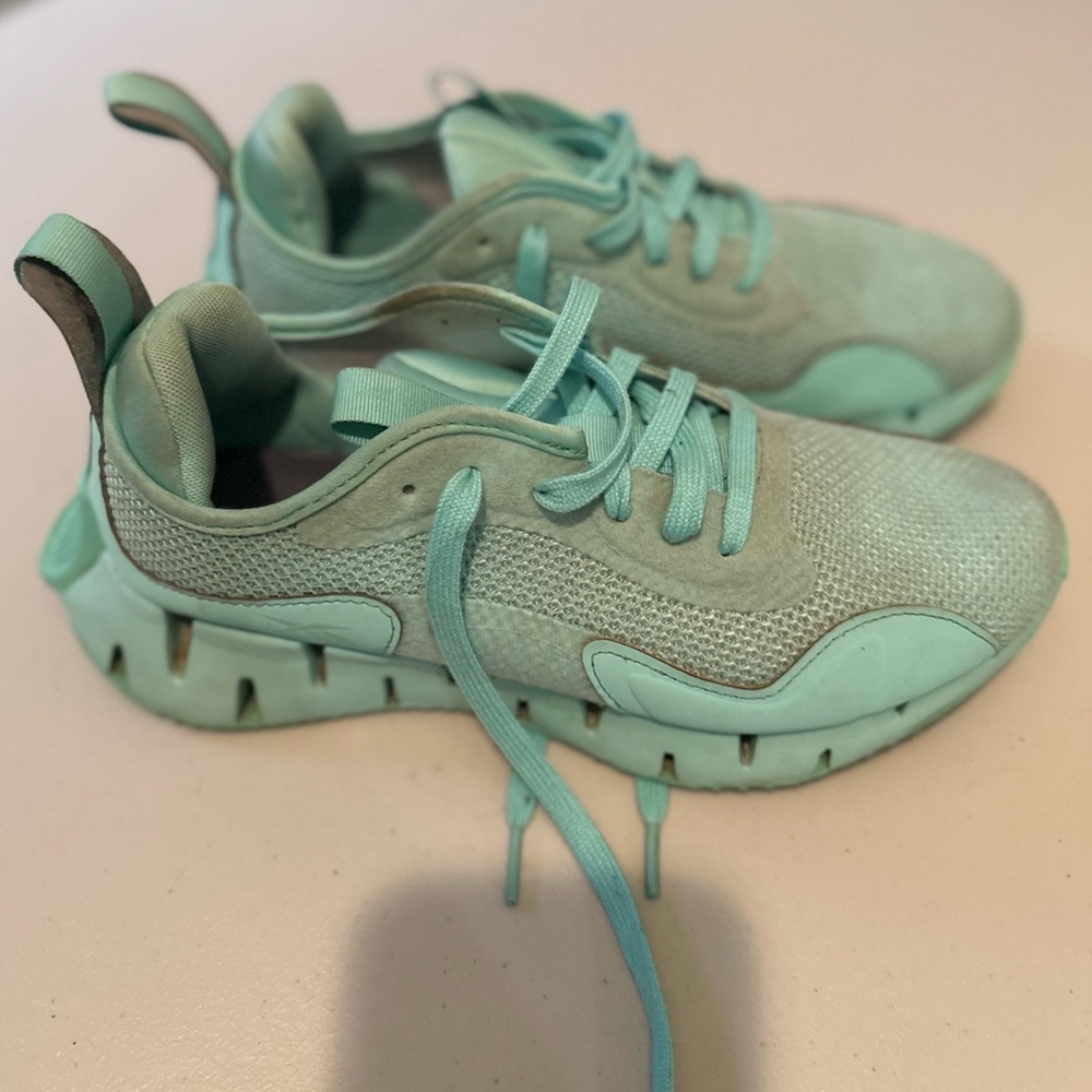 Reebok Zig Dynamica - image 1